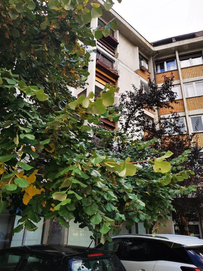 T&A Apartment Paracin Luaran gambar